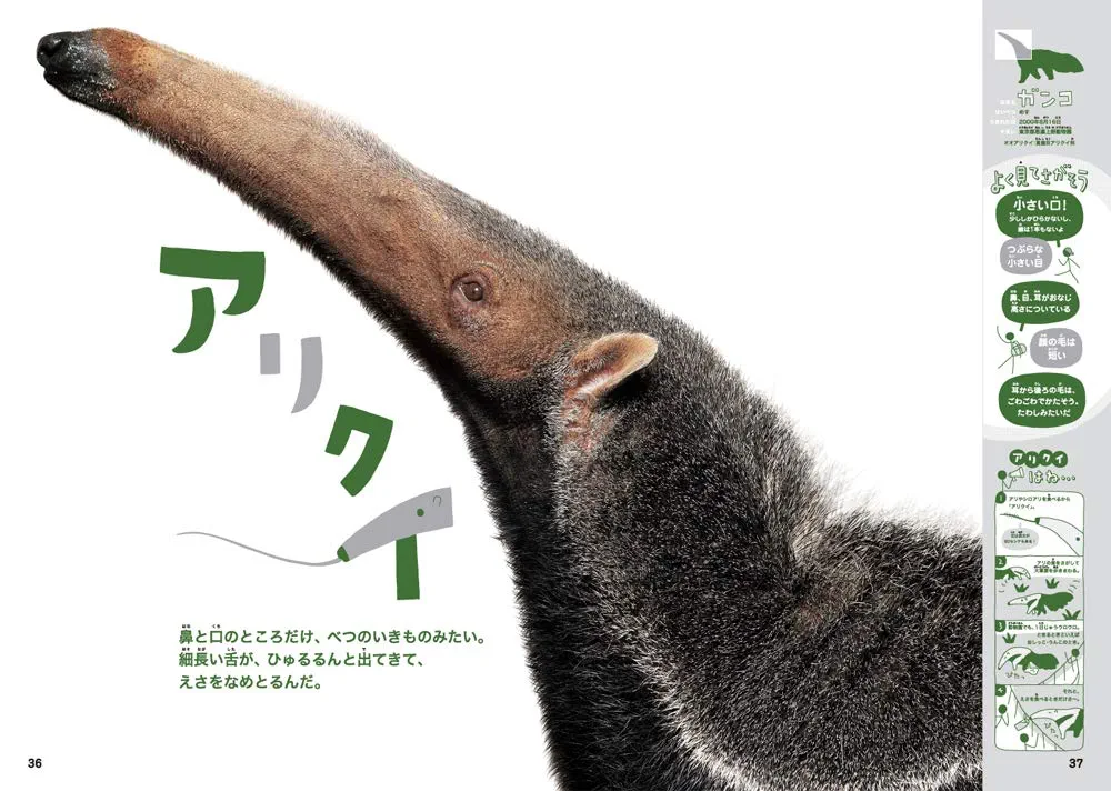 ほんとのおおきさ動物園 ほんとのおおきさ動物園 | 小宮輝之 |本 | 通販 | Amazon